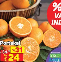 PORTAKAL KG PORTAKAL KG